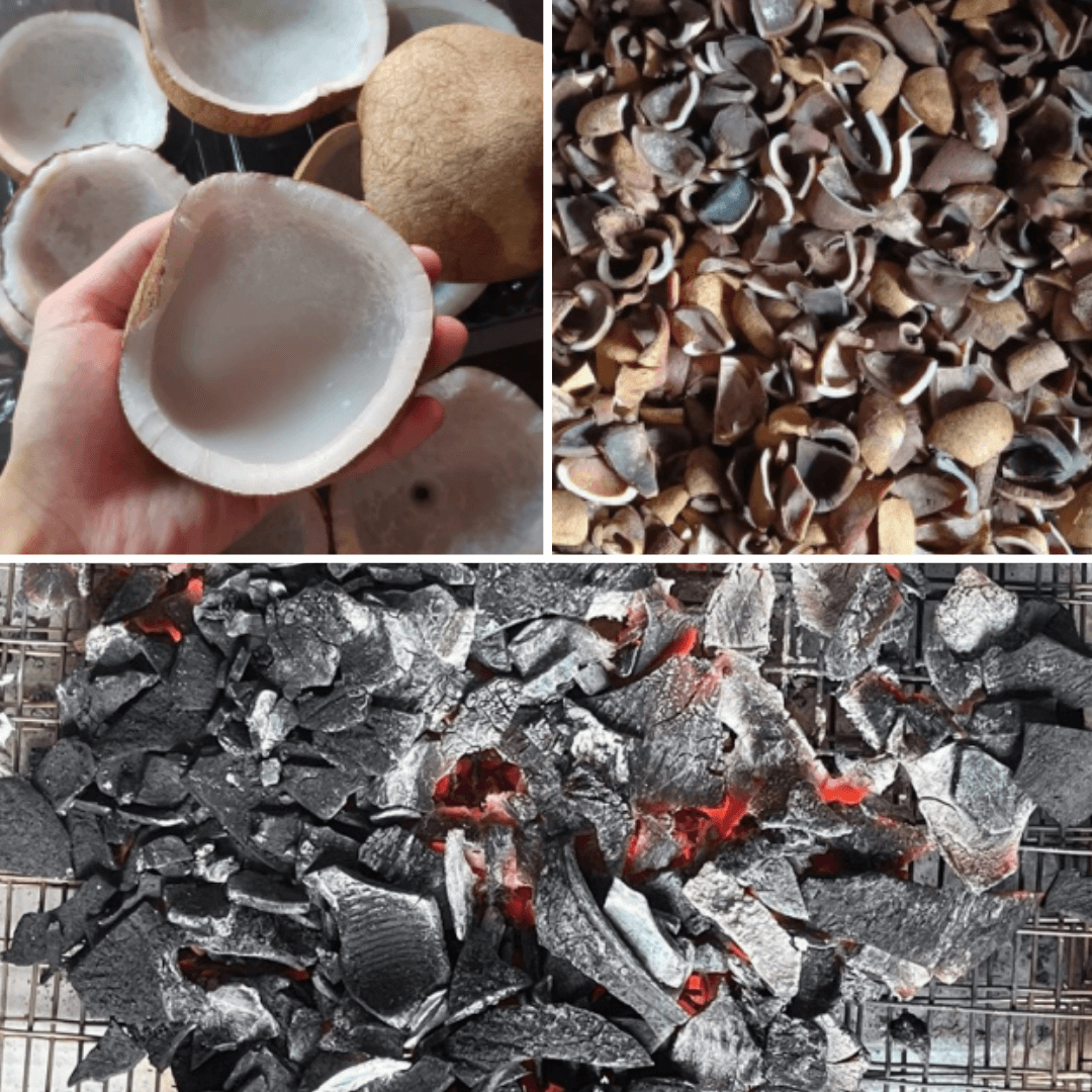 COCONUT EXPORT PRODUCT