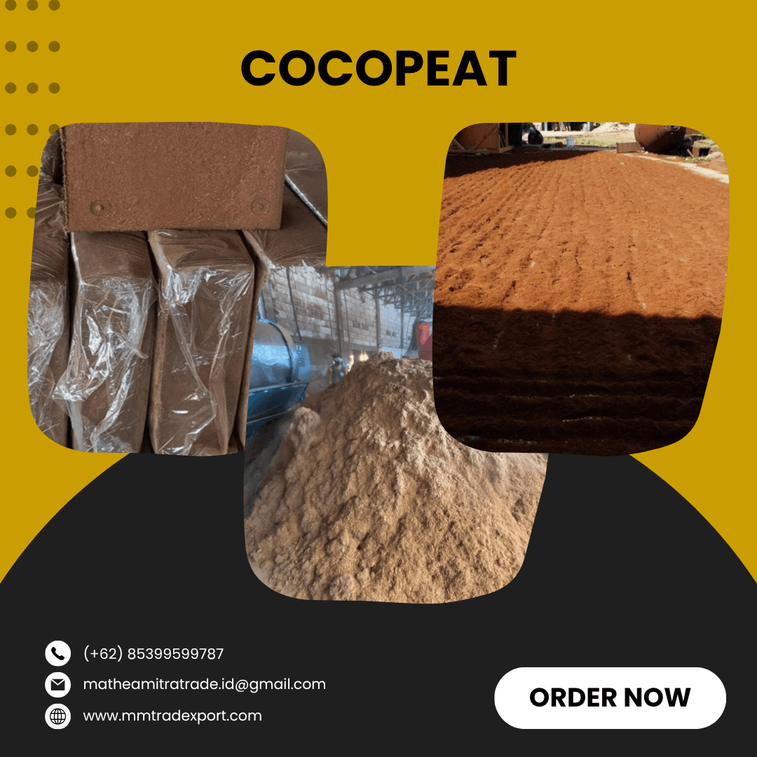 COCOPEAT EXPORT