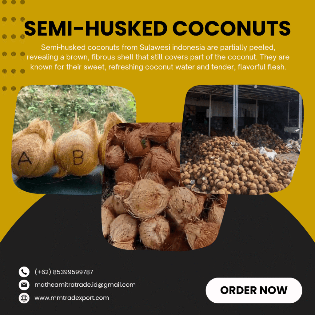 Semi-Husked Coconuts EXPORT