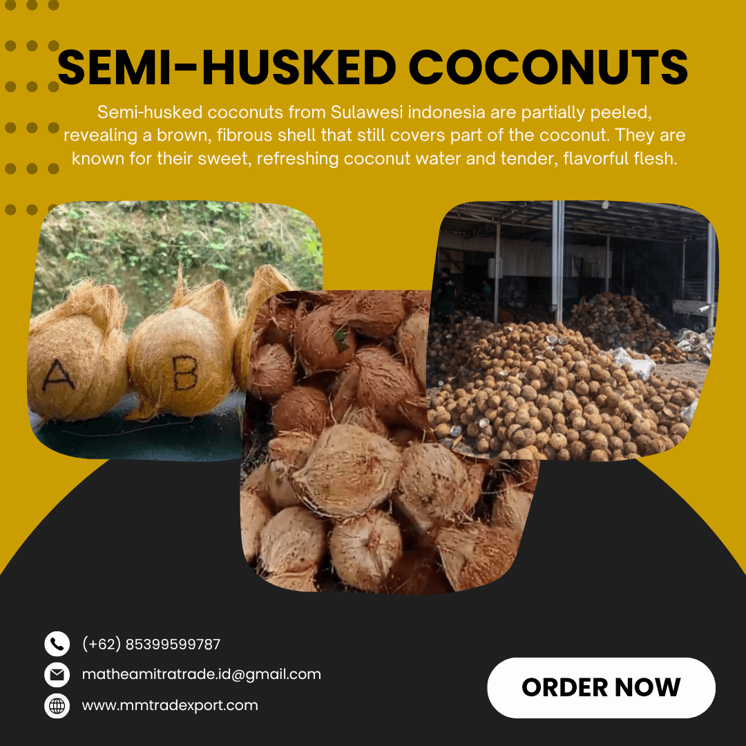 Semi-Husked Coconuts EXPORT